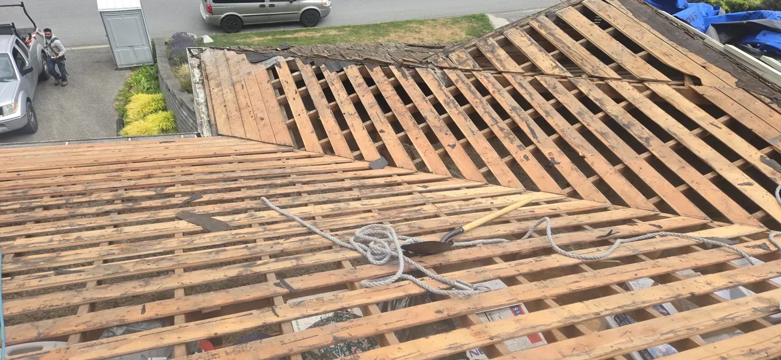 Cedar shake tear off exposing original skip sheathing on Thermal Drive Coquitlam roof, cedar conversion by Paragon Roofing BC