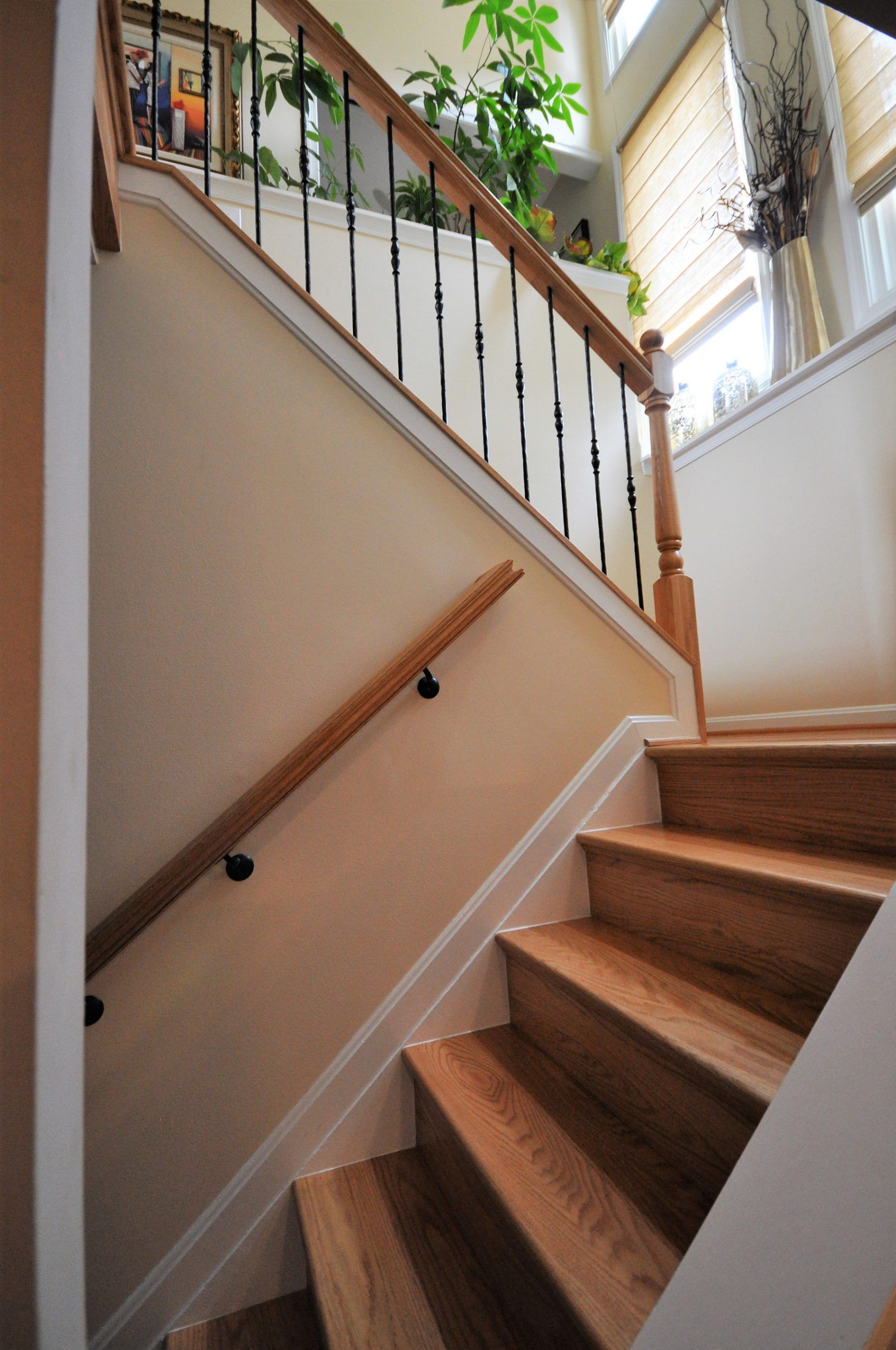 Interior staircase with wooden steps, white walls, and railing beside a bright window and potted plants in Rockville