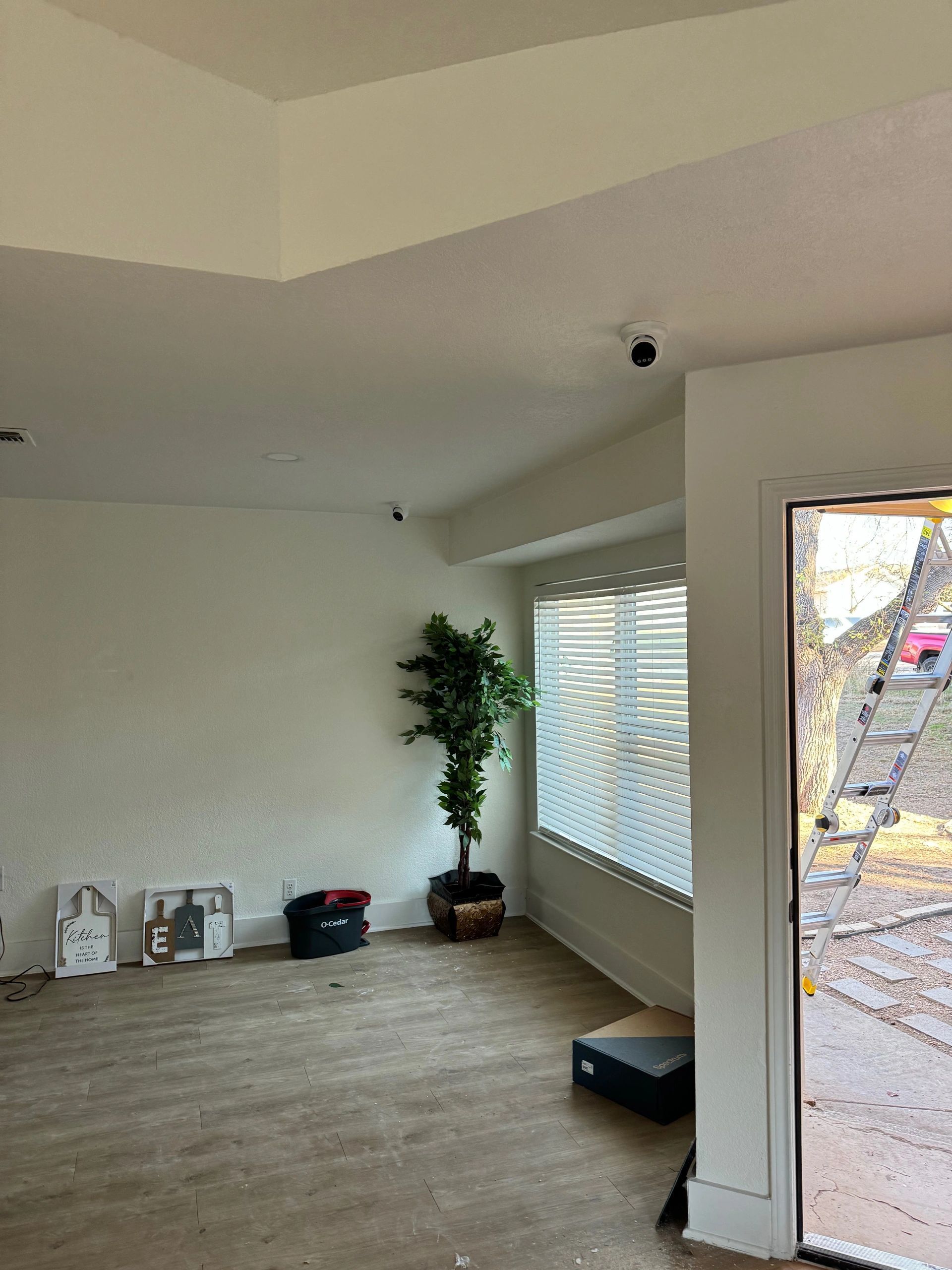 Empty living room with white walls, wood floor, plant, and sunlight through window and glass door