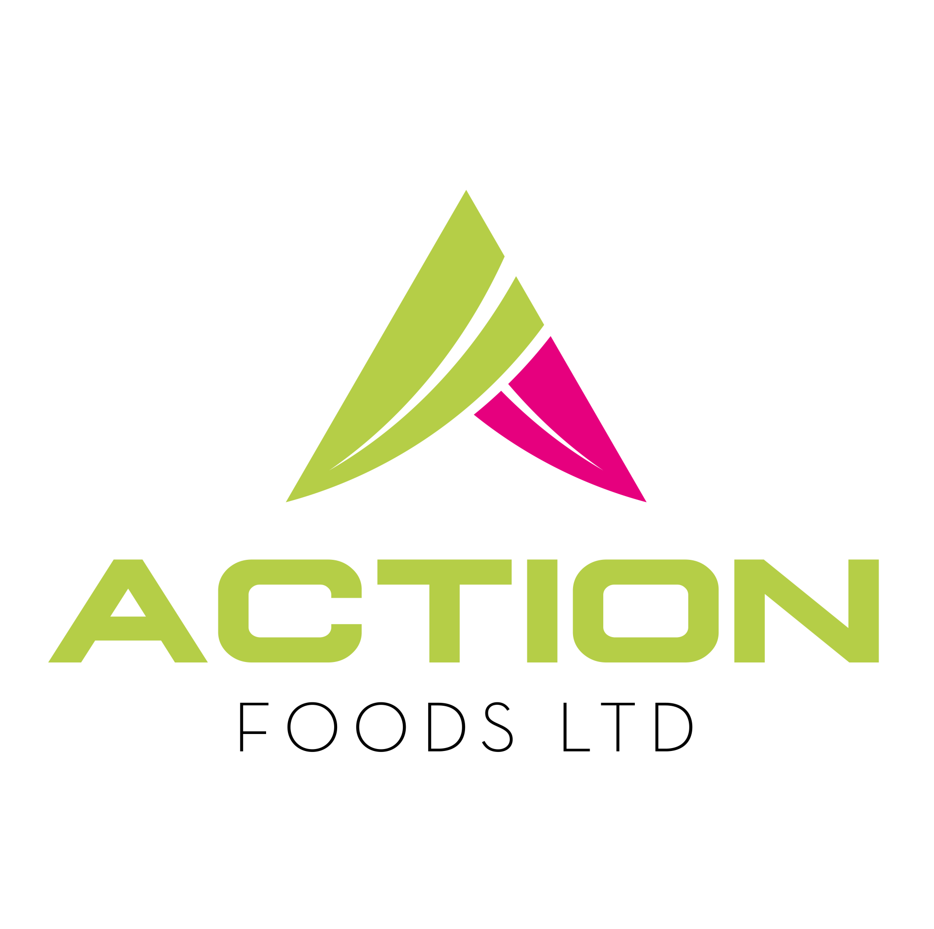 Action Foods Logo