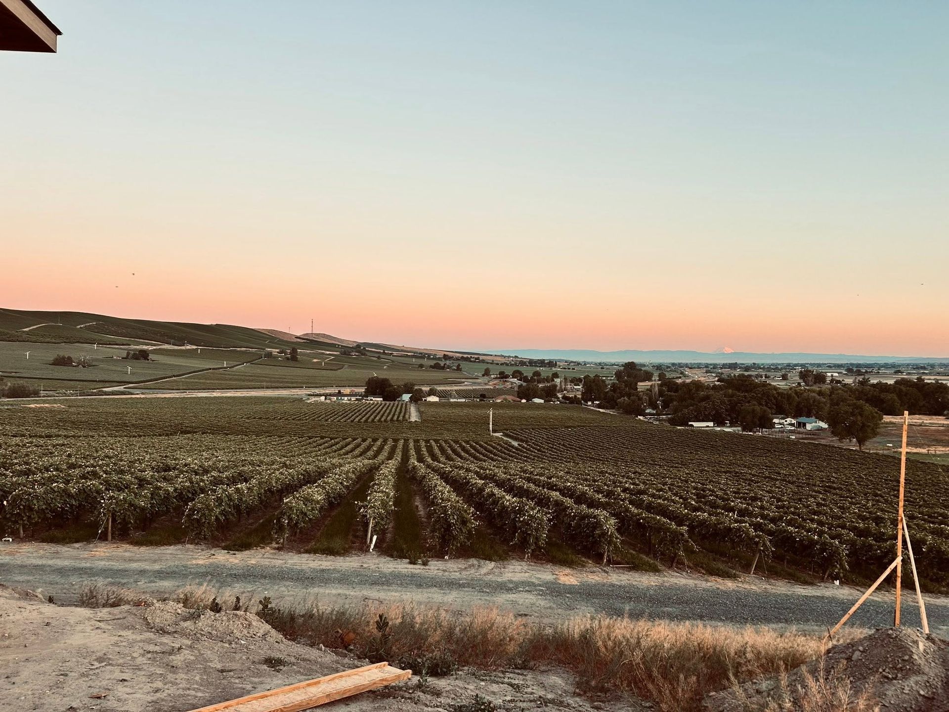 Sunset over a farm field with rows of crops and distant buildings beneath a pink-blue sky