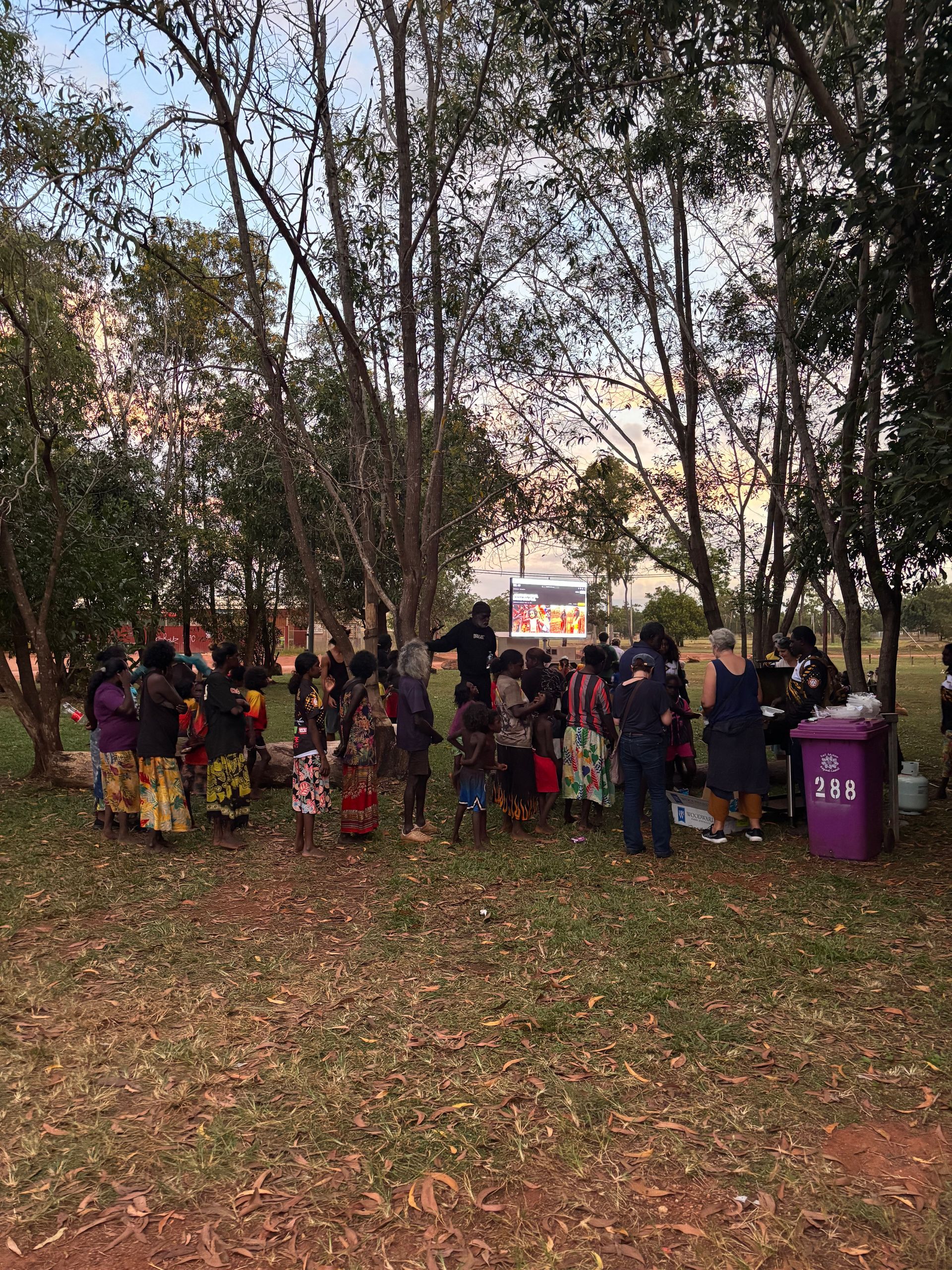 A group of people watching a film outdoors