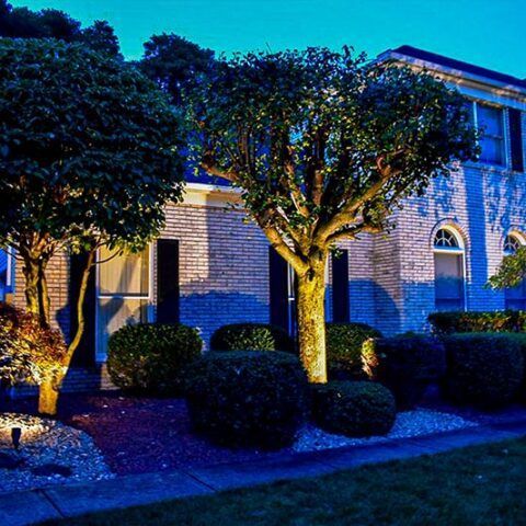 Night-lit suburban house with trees, trimmed shrubs, and a brick exterior