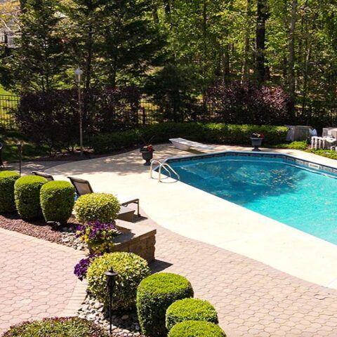 Backyard patio with a blue swimming pool, trimmed hedges, and chairs beside a wooded fence line