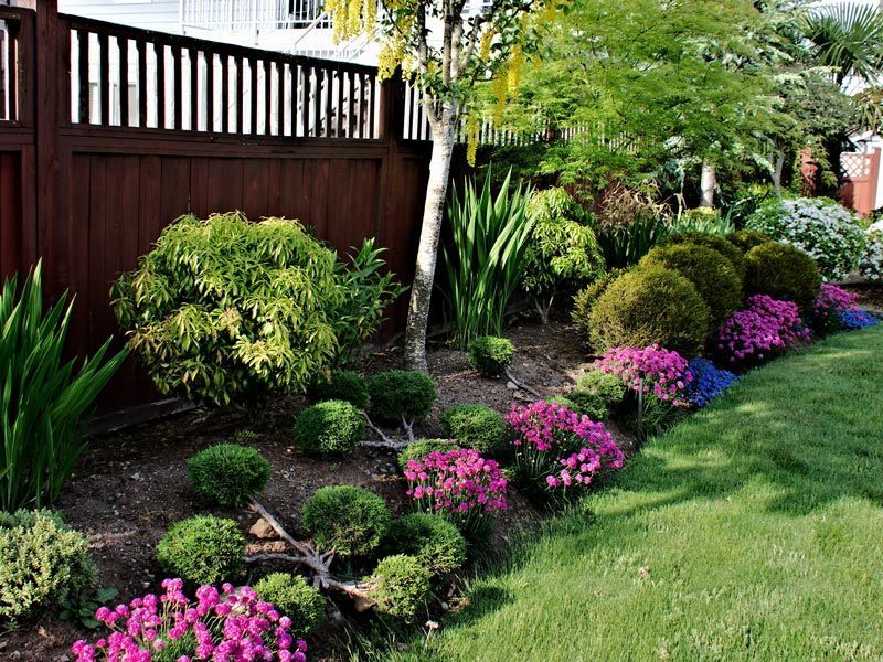 Colorful landscaped garden along a wooden fence with shrubs, pink flowers, and a grassy lawn