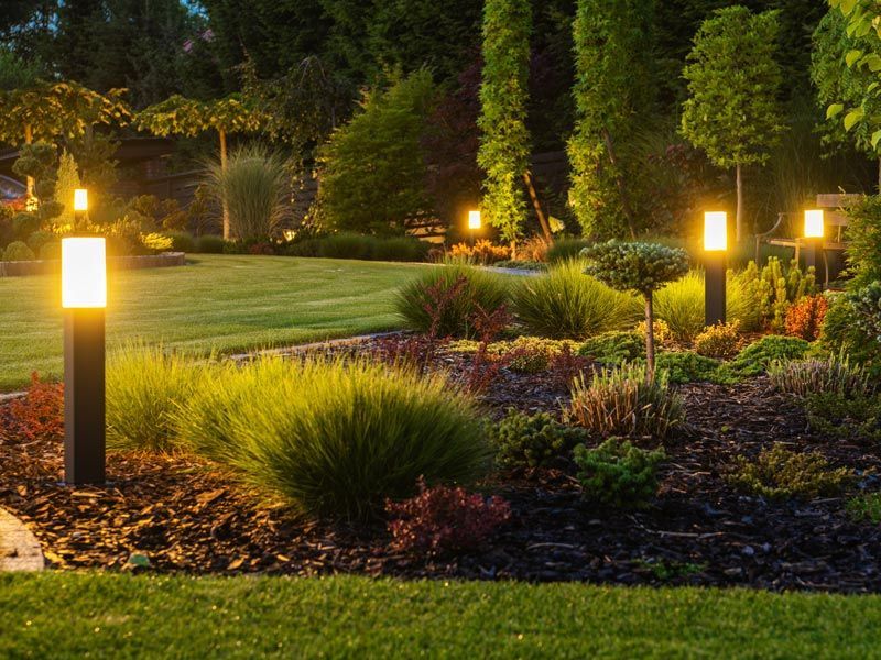 Lit garden landscape with glowing path lights, manicured shrubs, and trees at dusk
