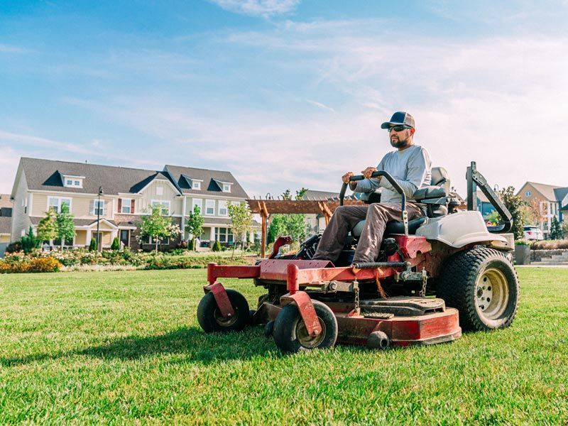 Man mowing a large green lawn with a red riding mower near suburban houses
