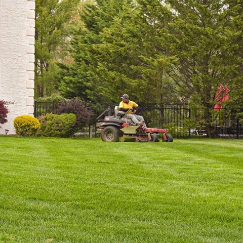 Person riding a mower across a lush green lawn beside a house and trees