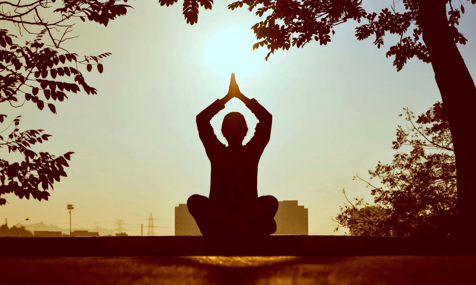 De drie pijlers van Ayurveda: voeding, slaap en energie in balans