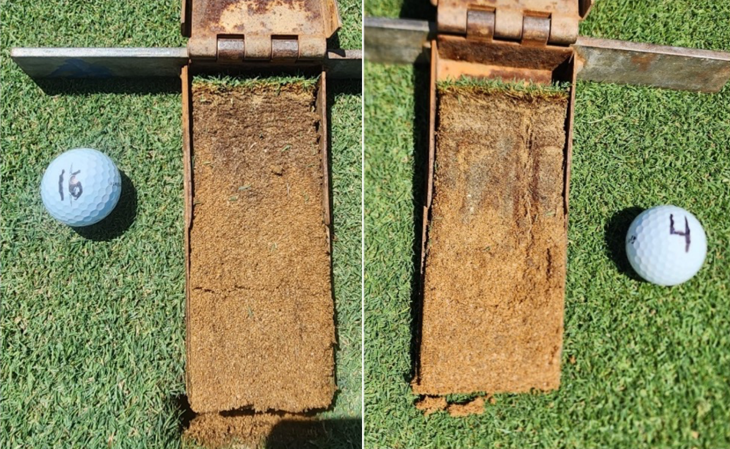 The impact of ThatchZyme on thatch