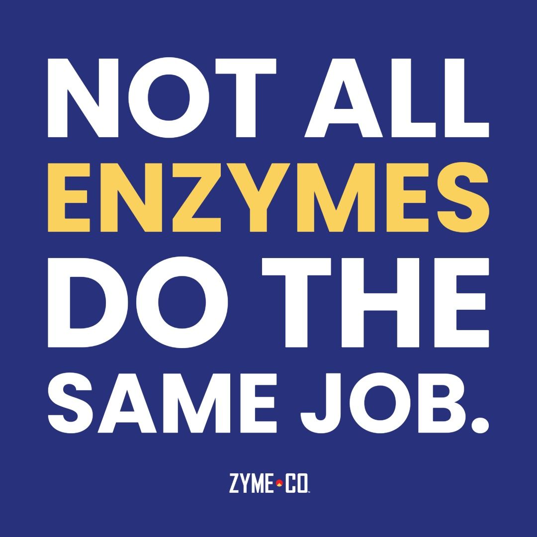 Not All Enzymes Do The Same Job