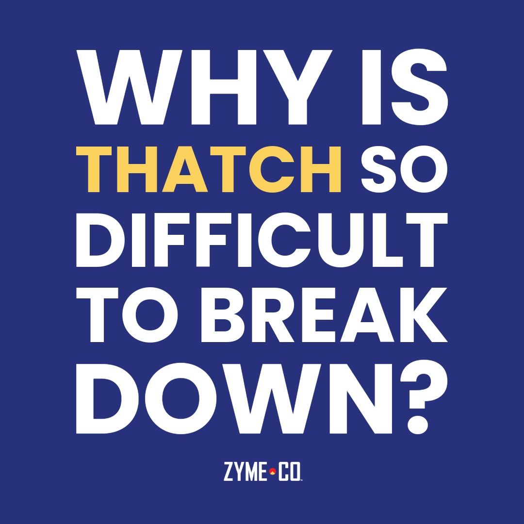 Why is thatch so difficult to break down?