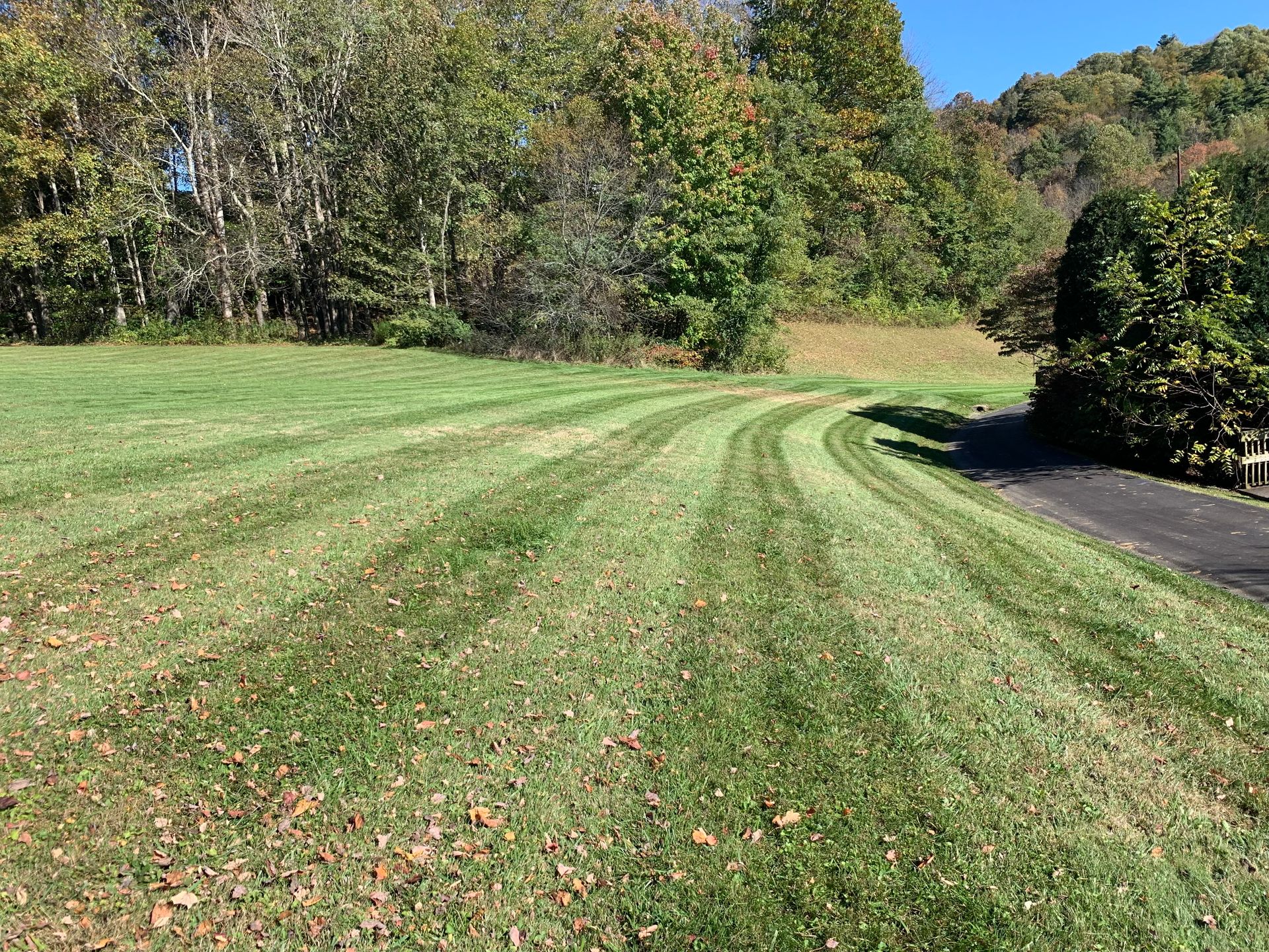 Residential Landscaping & Lawn Care Boone, NC Mountaineer