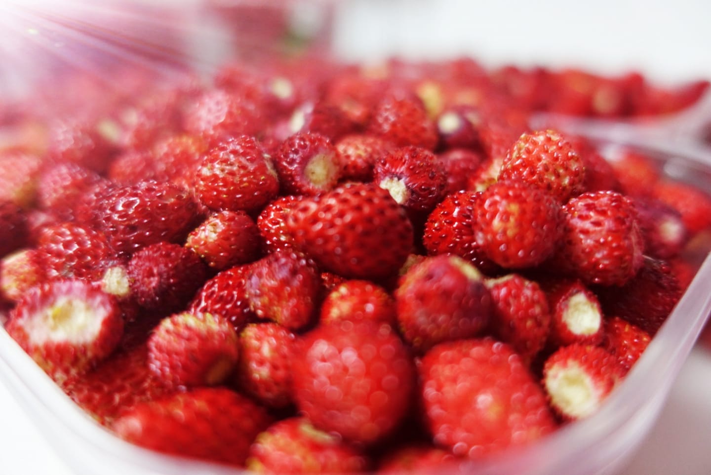Un contenitore di plastica pieno di fragole su un tavolo.