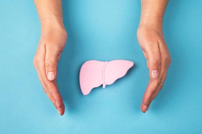 Una persona sostiene un hígado de papel rosa en sus manos.