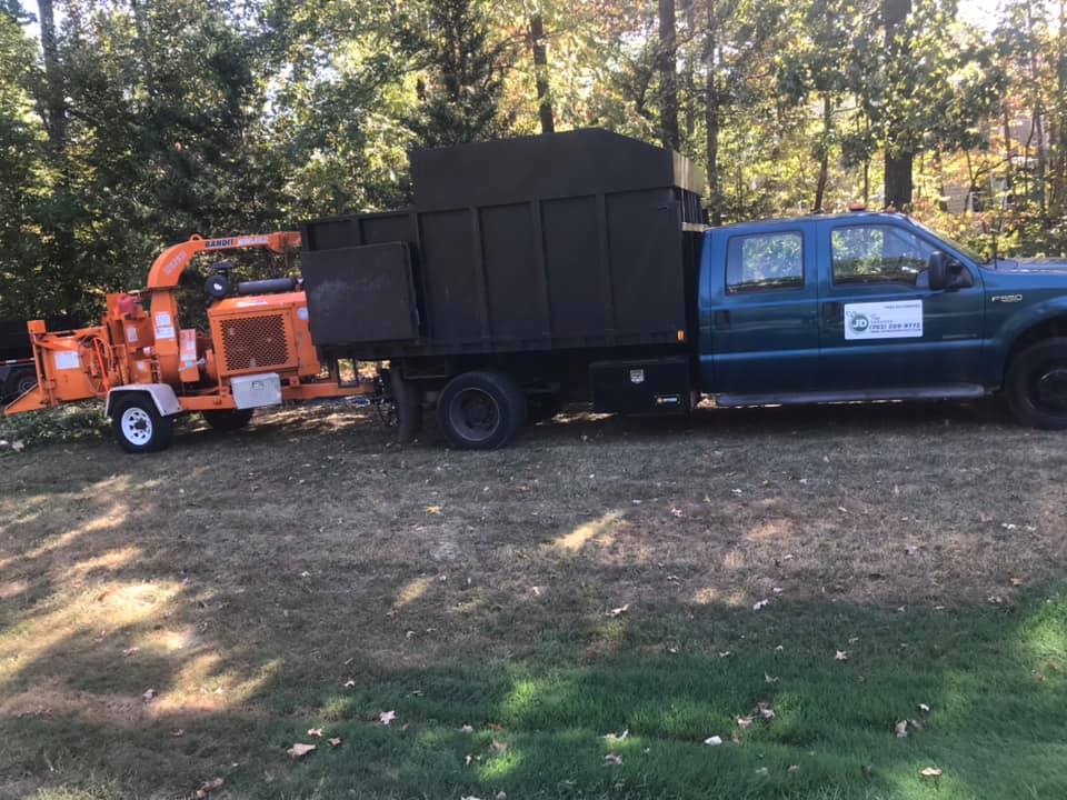 Tree Service Stafford, VA JD Tree Service