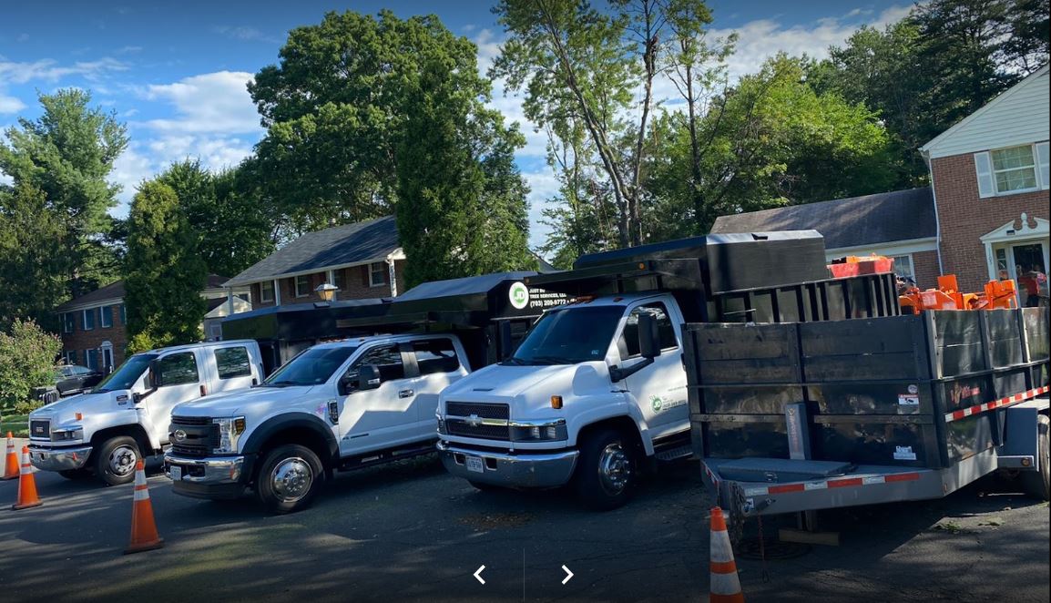 Tree Service Stafford, VA JD Tree Service