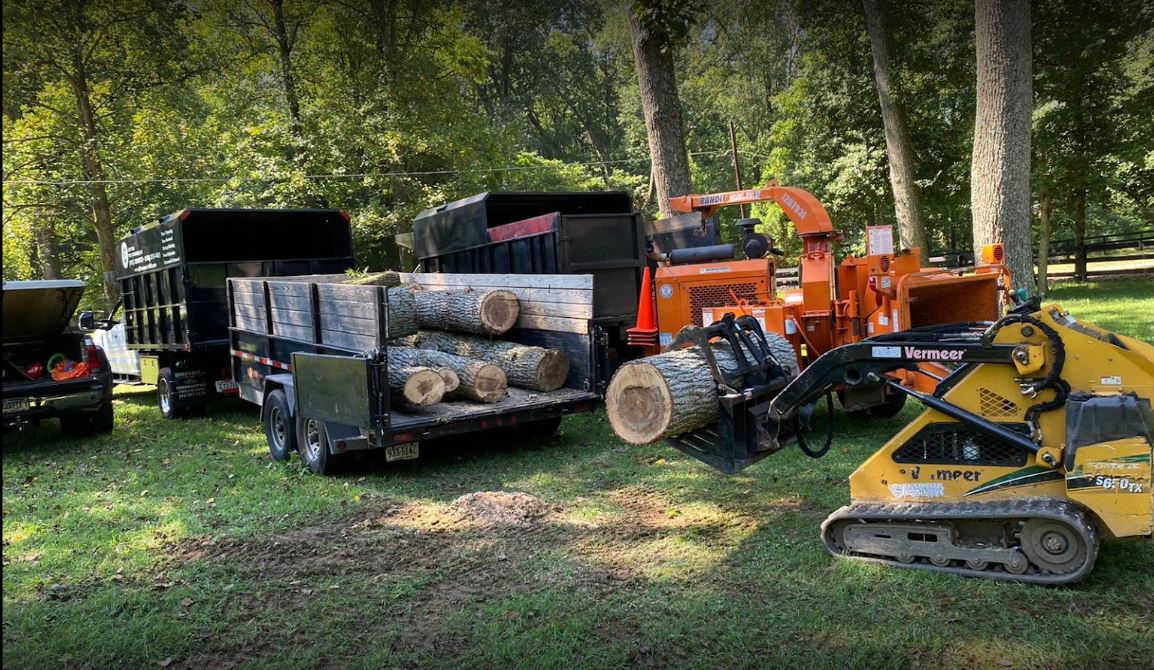 Tree Service Stafford, VA JD Tree Service