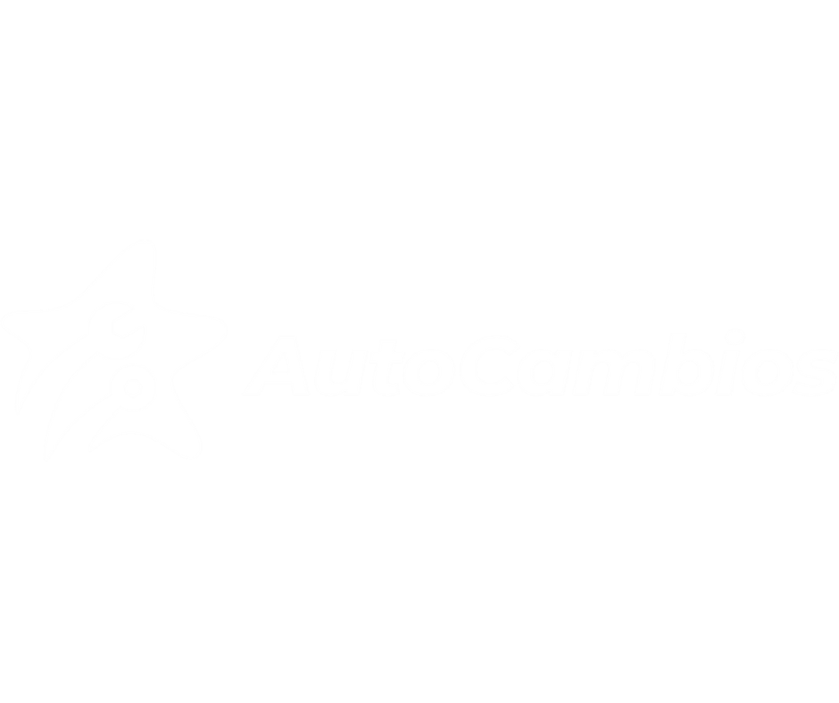 Logo de Autocambios