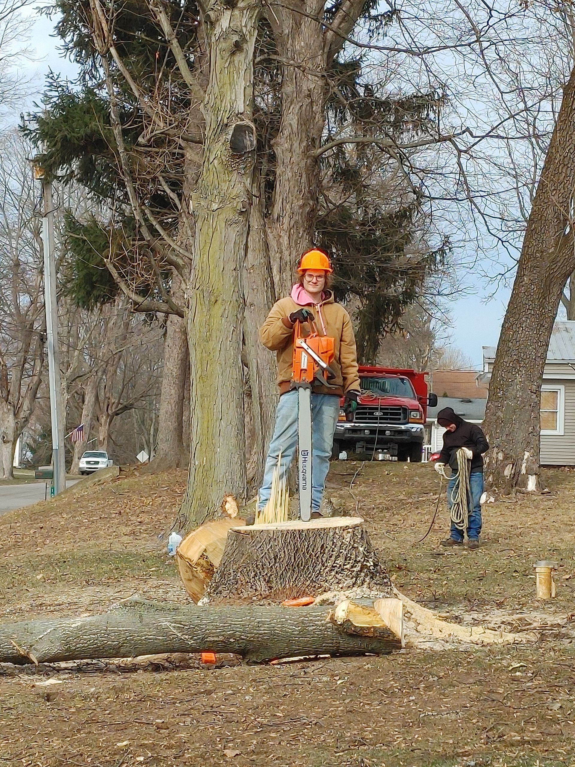 A man is cutting a tree stump with a chainsaw.