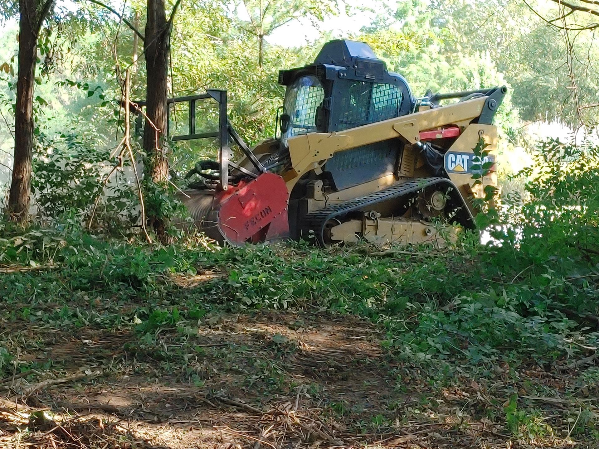 A bulldozer is cutting down trees in the woods.