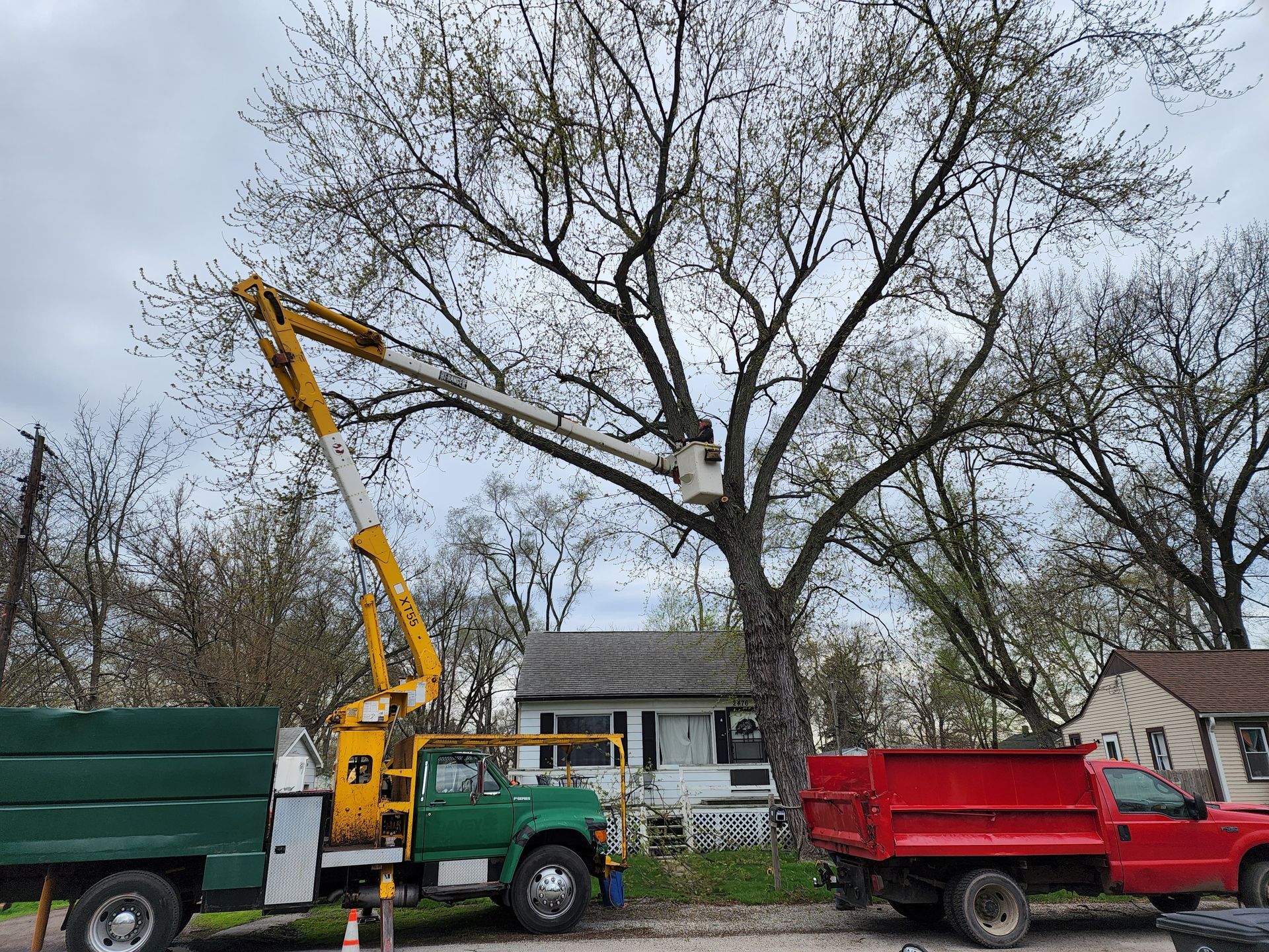 A tree trimming truck is cutting a tree in front of a house.