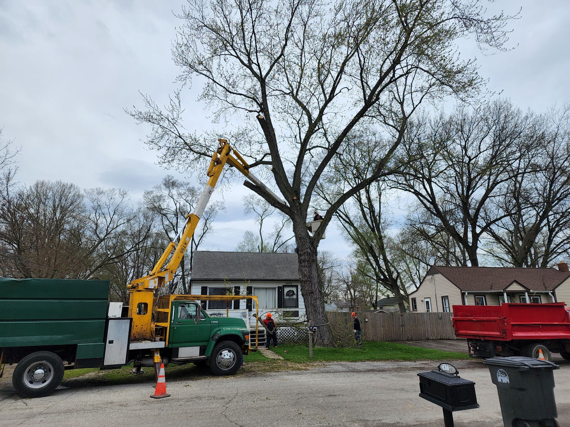 A green truck with a crane attached to it is cutting a tree.