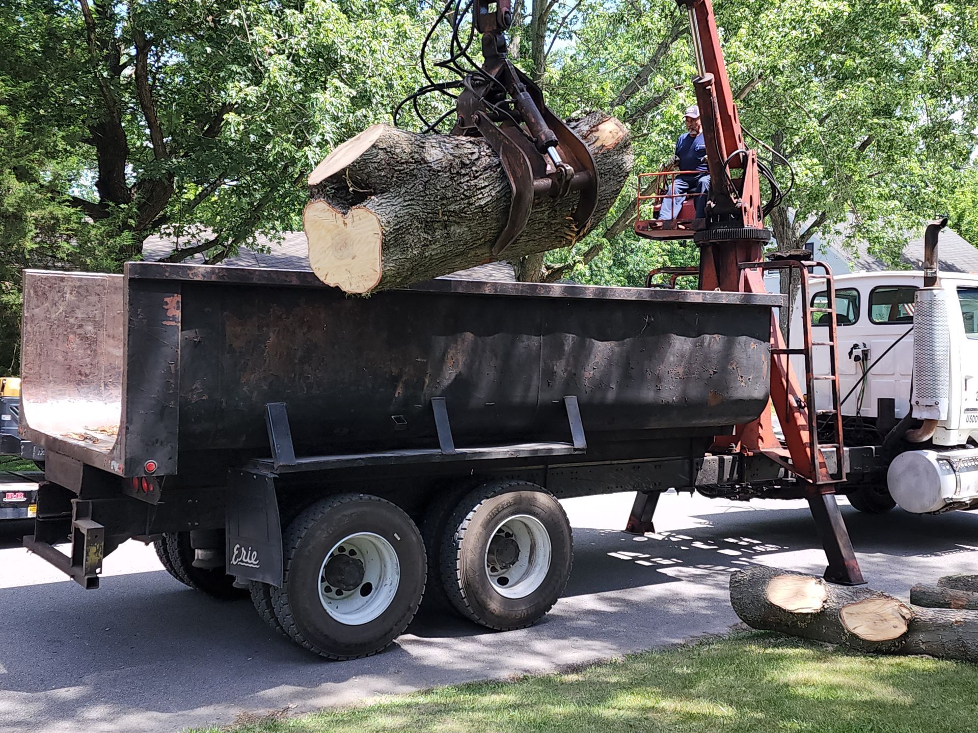 A dump truck is being loaded with a large log in Portage, IN