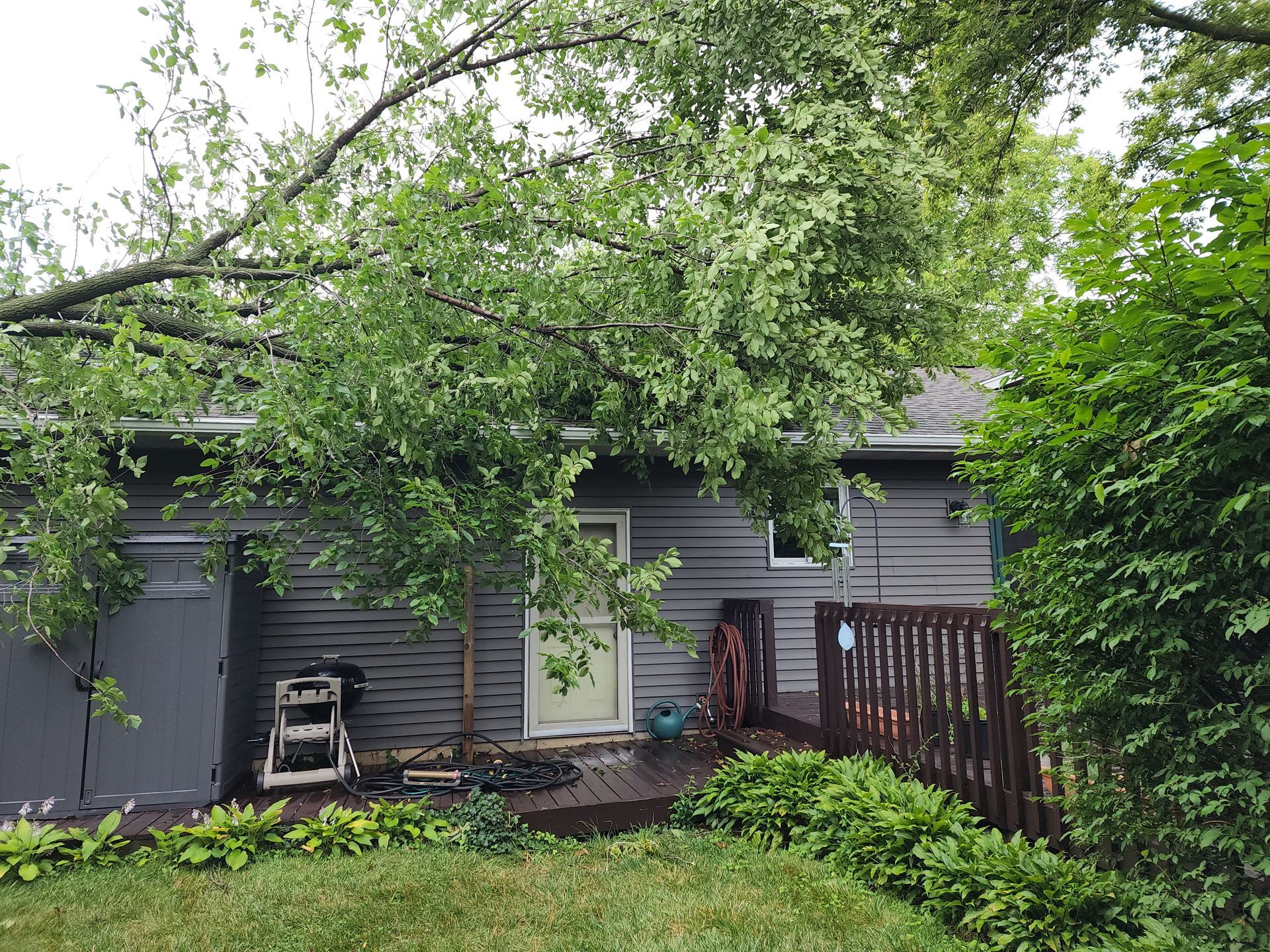 A tree has fallen on the side of a house.