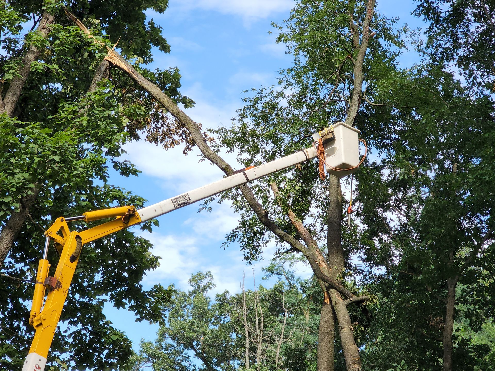 A crane is cutting a tree in Valparaiso, IN