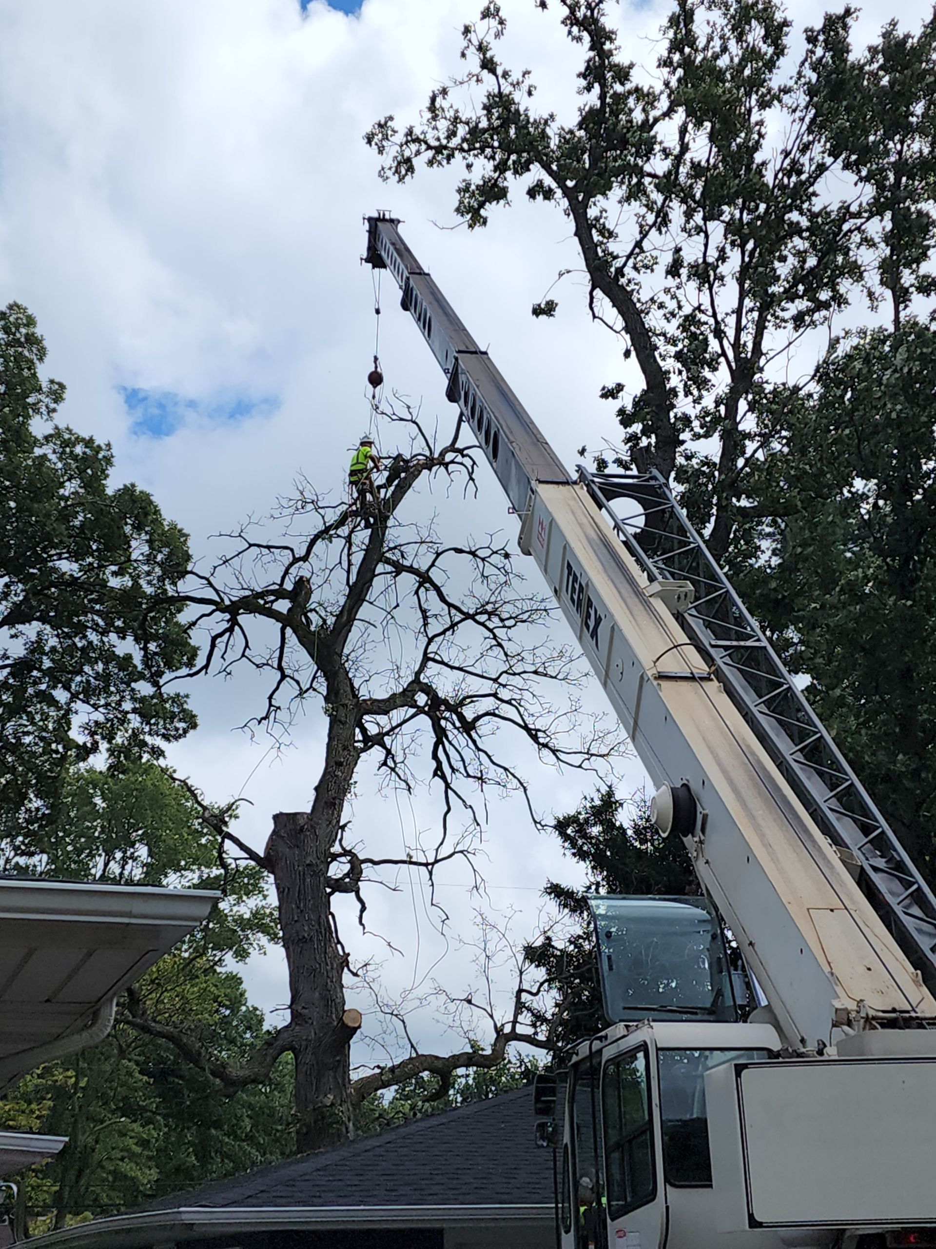 A crane is cutting a tree in front of a house.