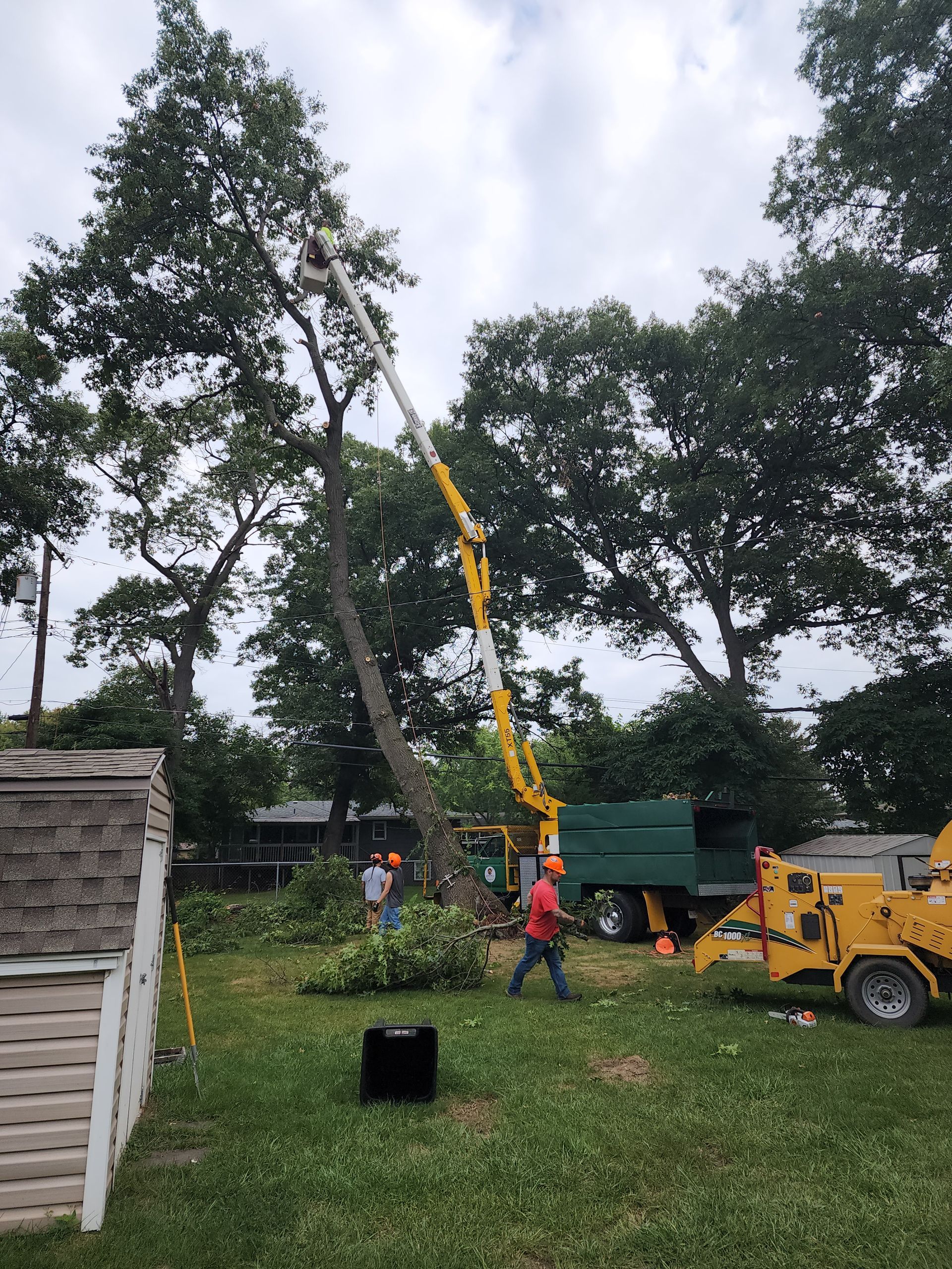 A tree being cut down by a crane in a yard