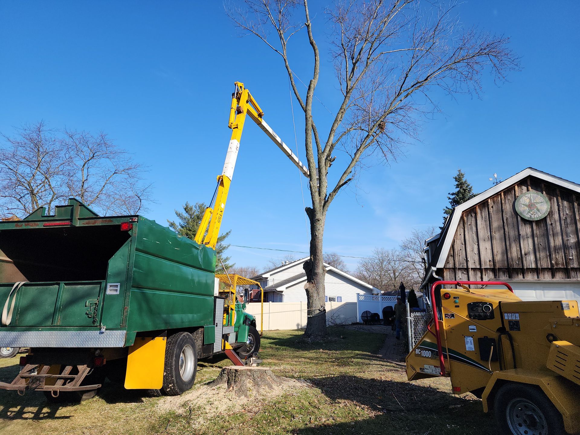 A green truck is being used to cut down a tree