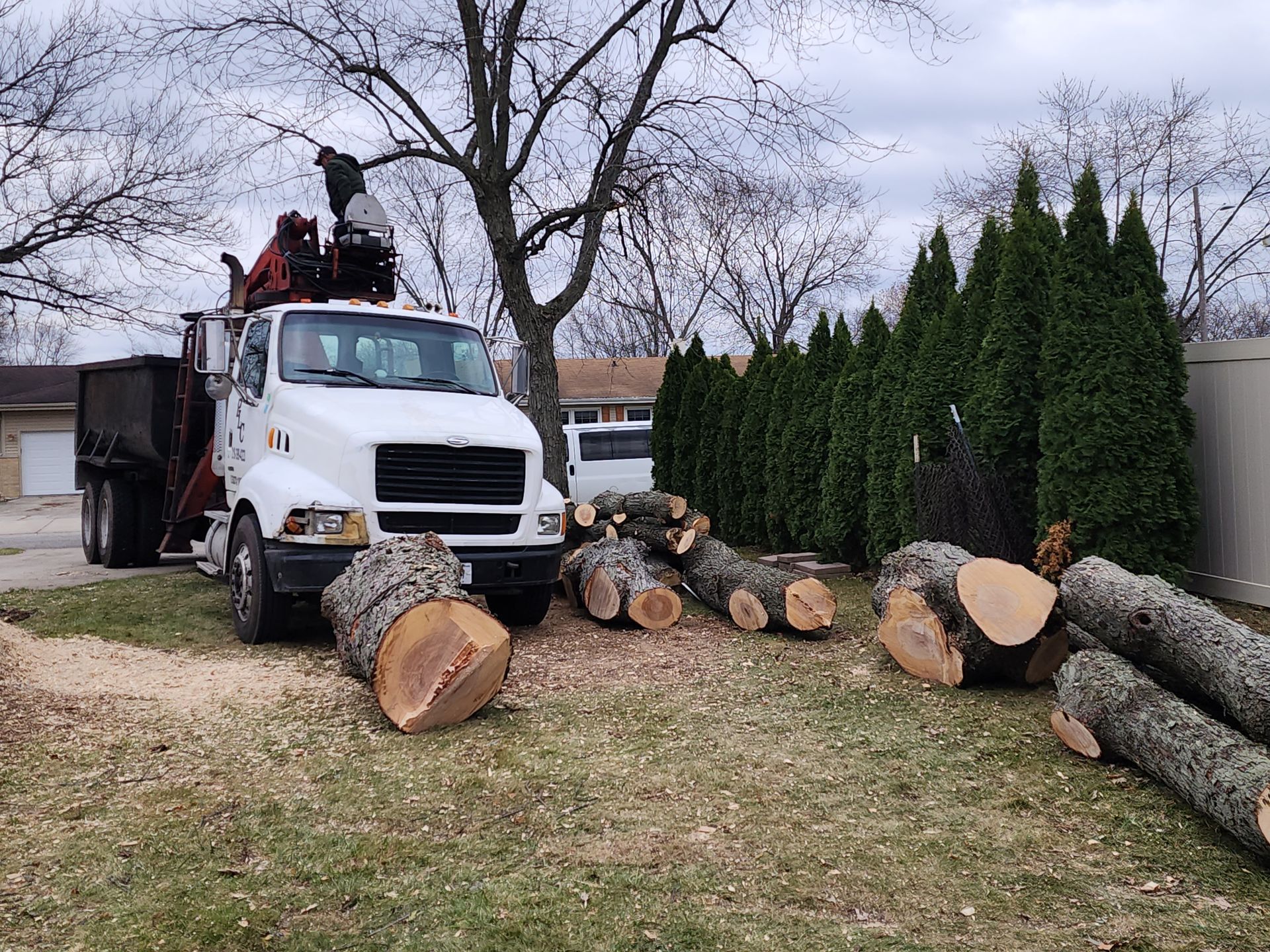 A white truck with a crane on top of it is parked next to a pile of logs.