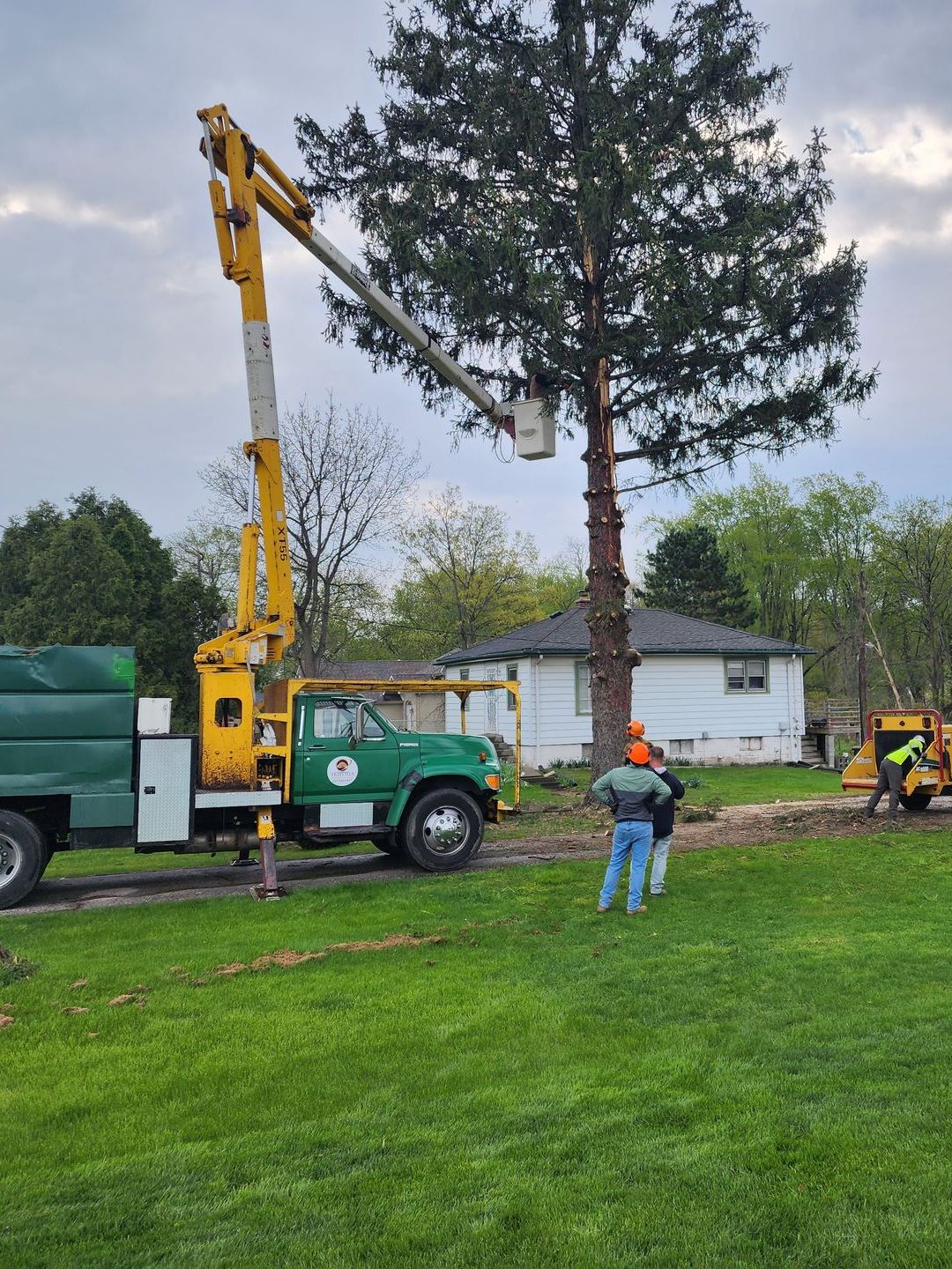 Tree Removal Near Me