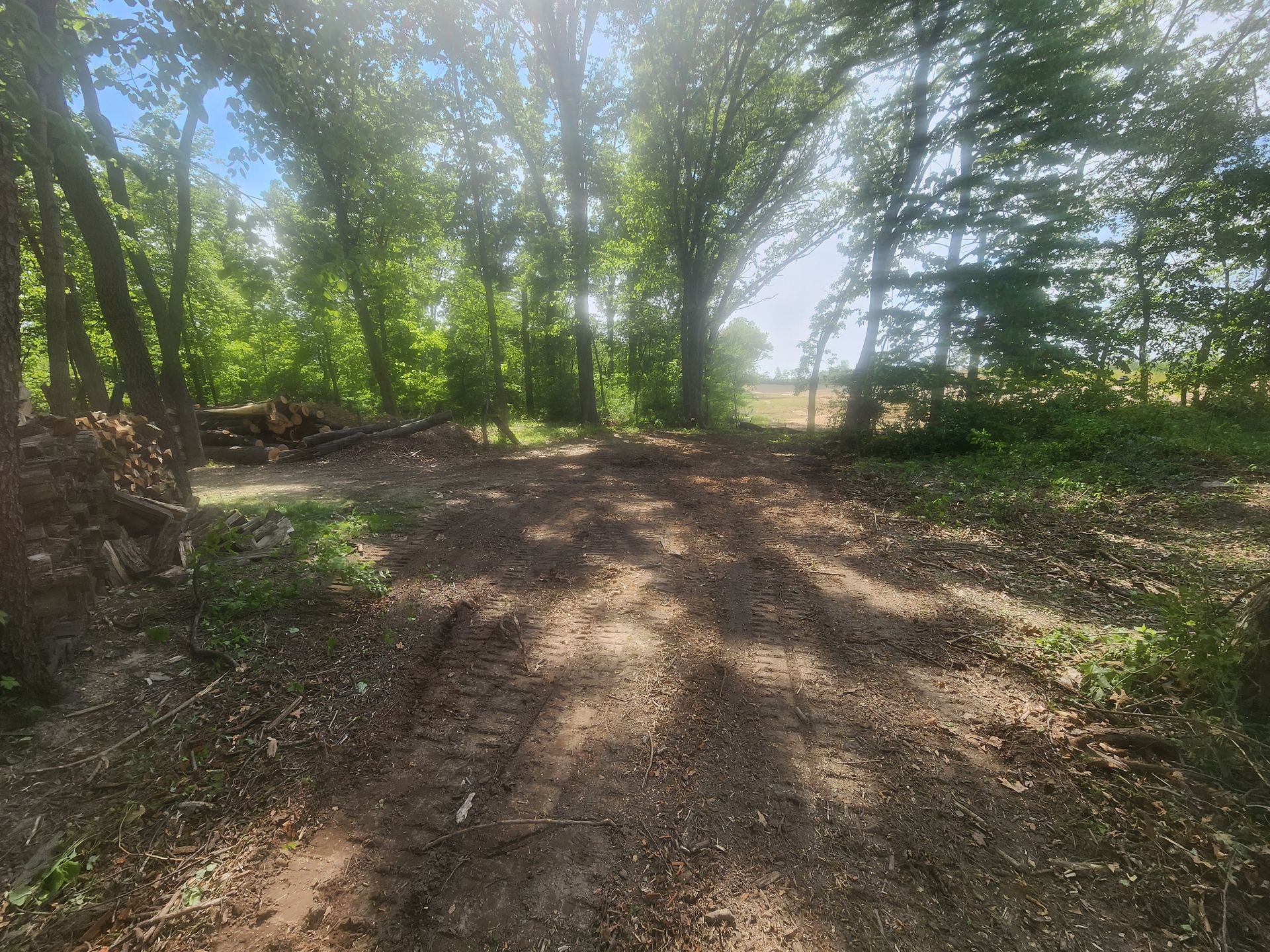Lot Clearing Porter, IN