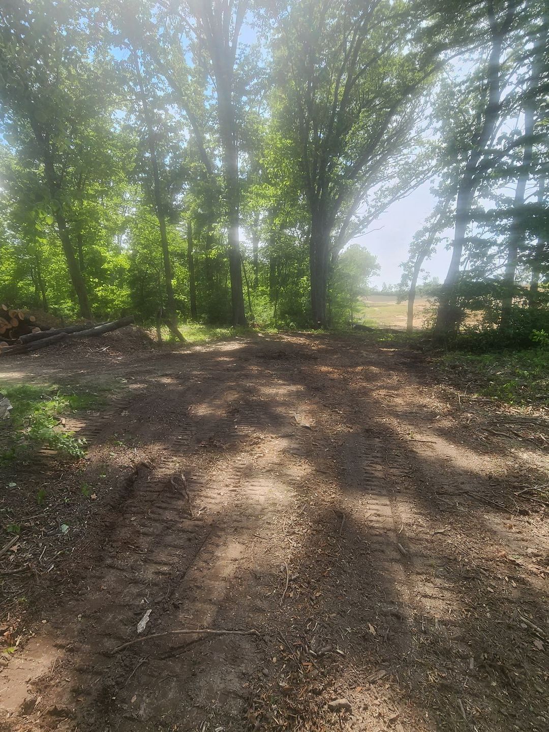 Lot Clearing