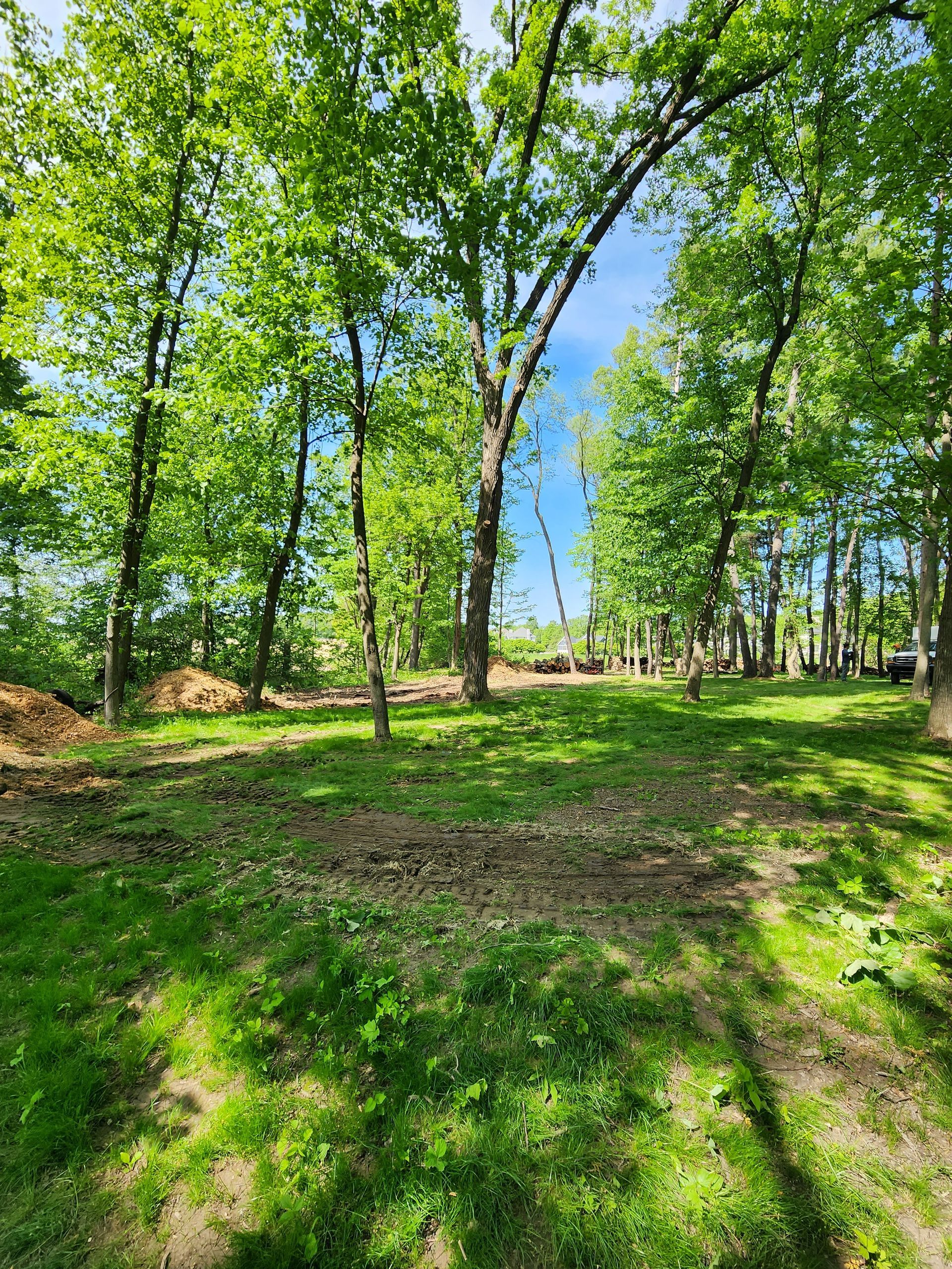 A lush green field surrounded by trees on a sunny day in Portage, IN