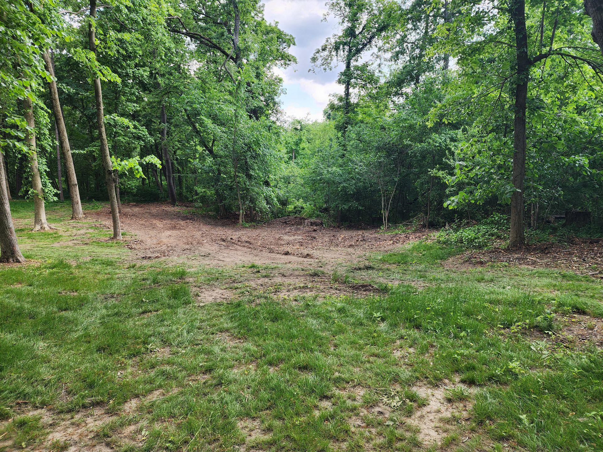 Lot Clearing Portage, IN