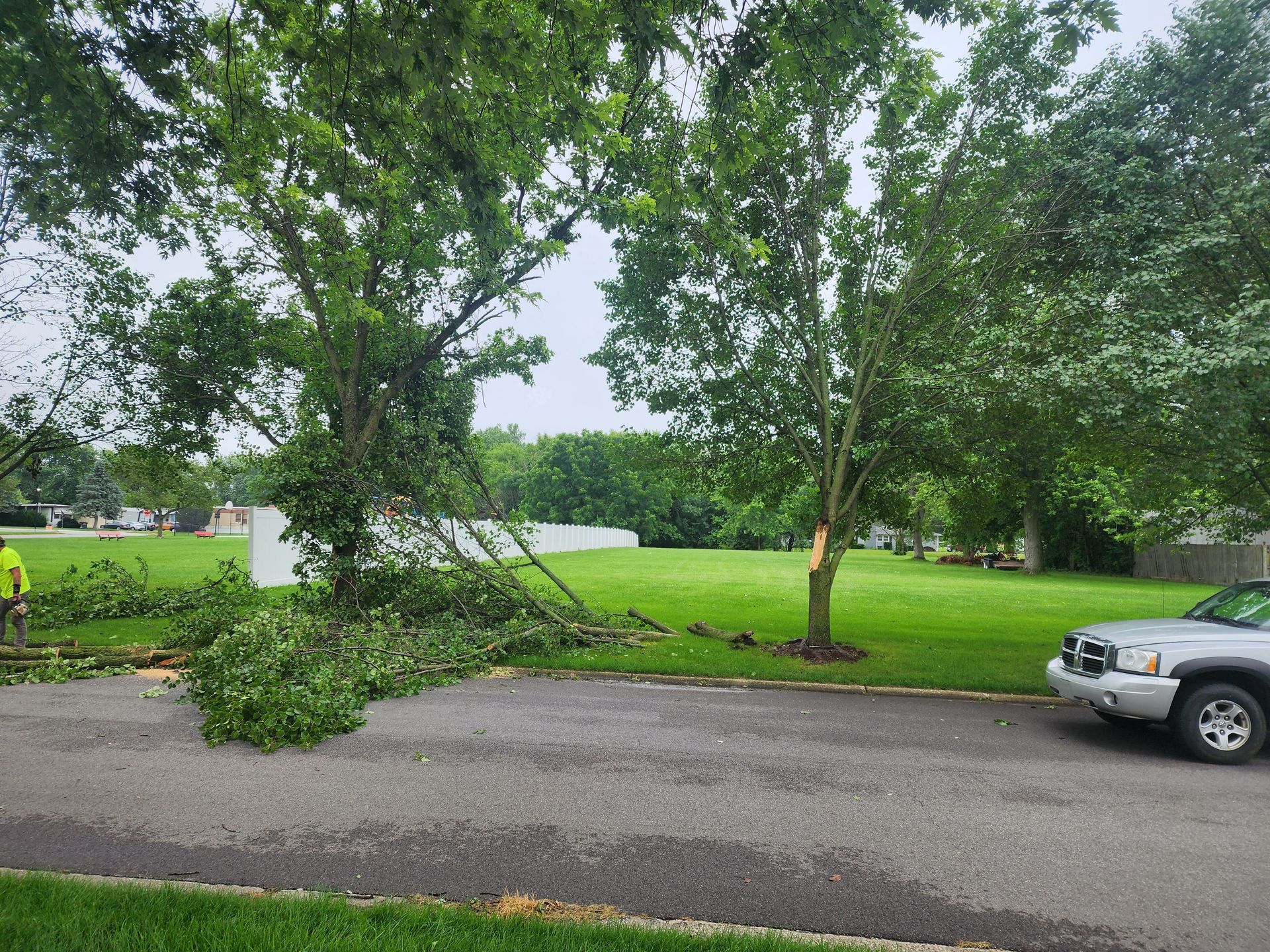 A white truck is parked in front of a fallen tree. Porter County, IN