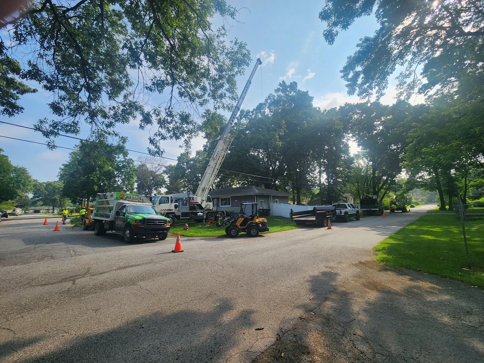 A group of Trees Plus vehicles are parked on the side of a road.