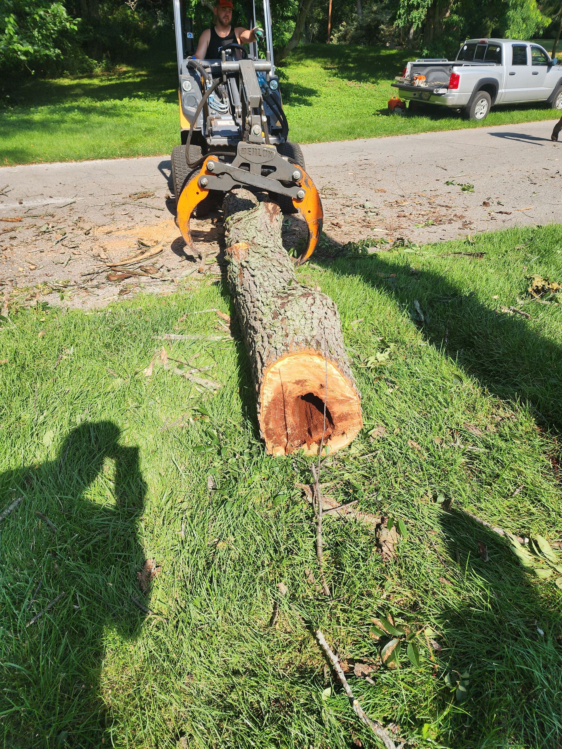 A man is driving a tractor next to a large tree trunk.
