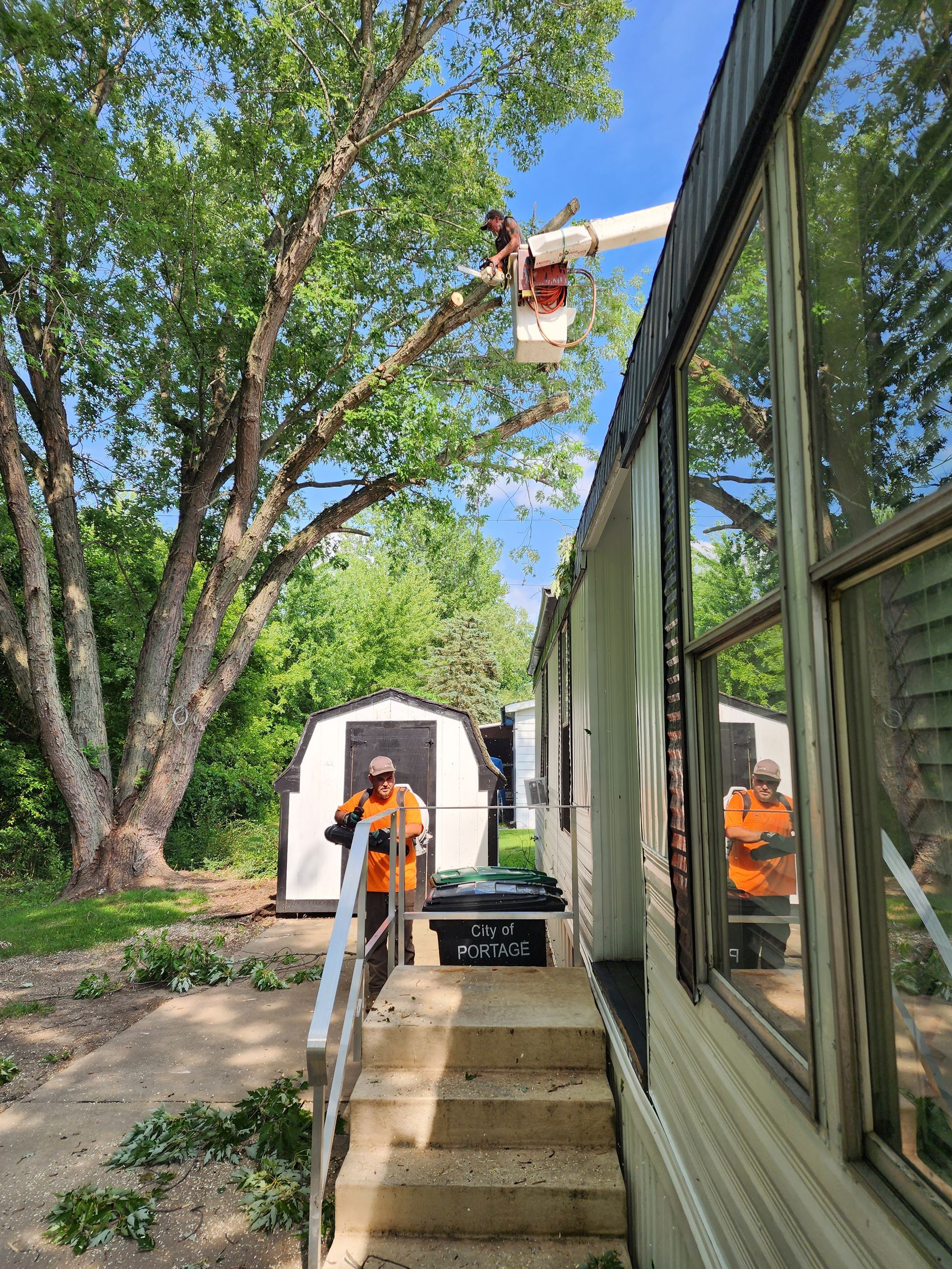 A man is cutting a tree with a bucket in front of a building.