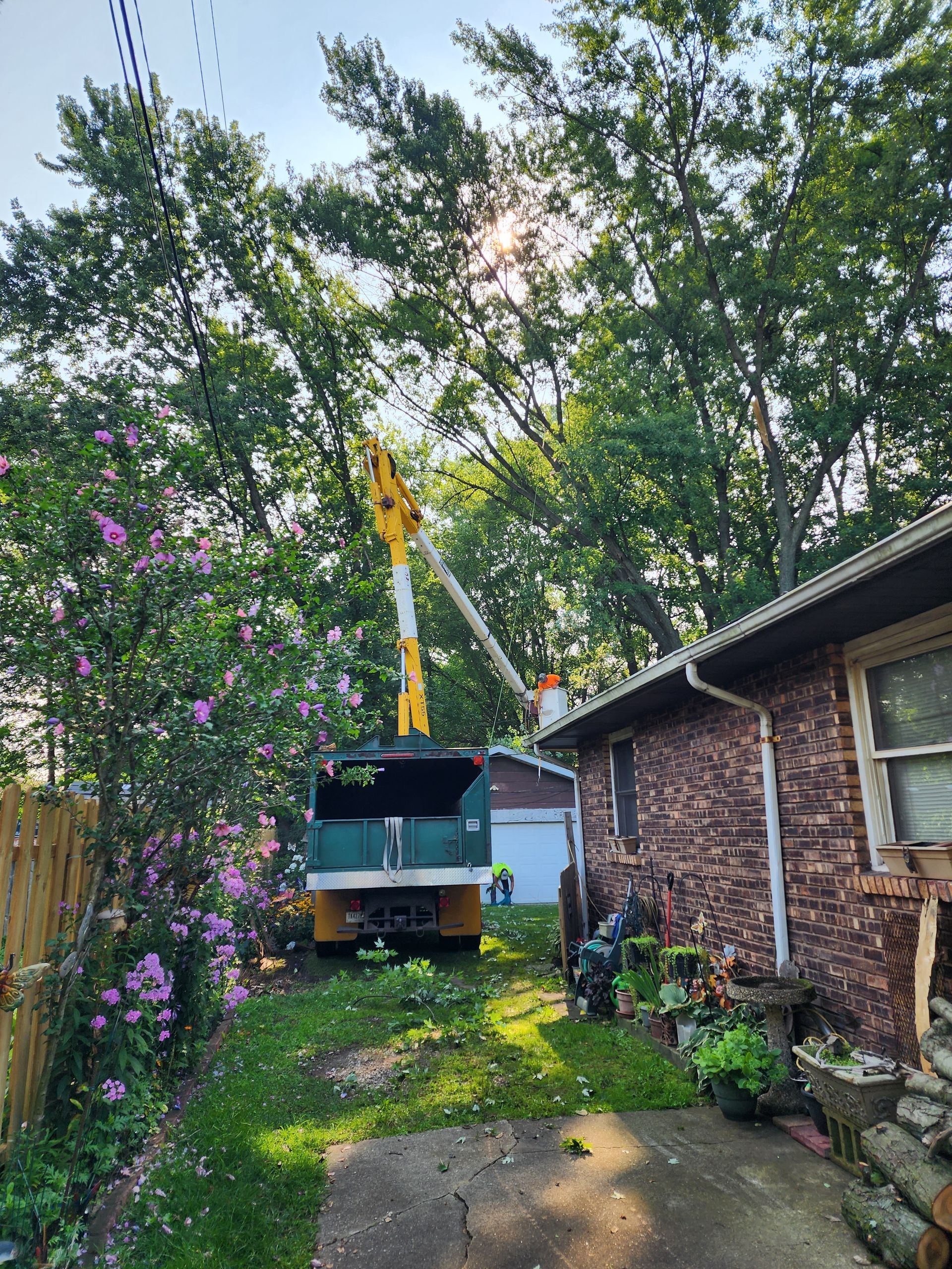 A crane is cutting a tree in front of a Chesterton, IN house.