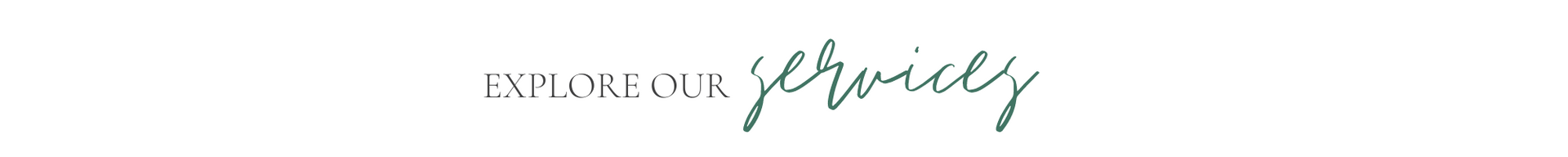 Explora privacy logo in elegant script on a light background