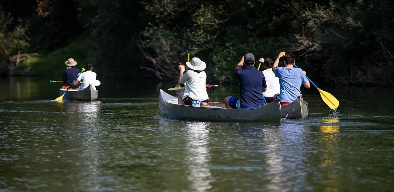 Kayaking experience in the Russian River at sonoma county