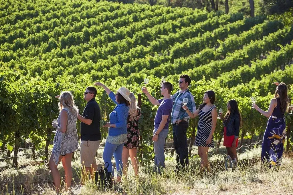 Wine Tasting at Sonoma Valley Vineyards