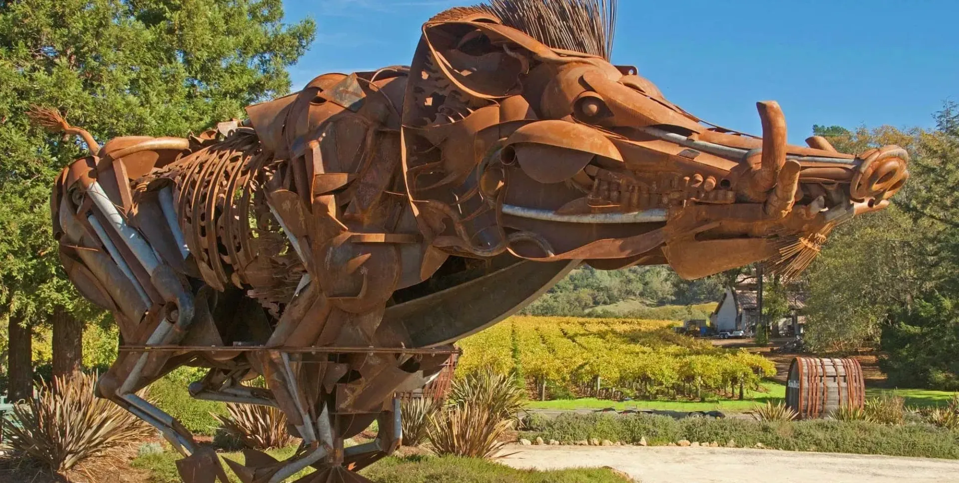 Art and culture in santa rosa