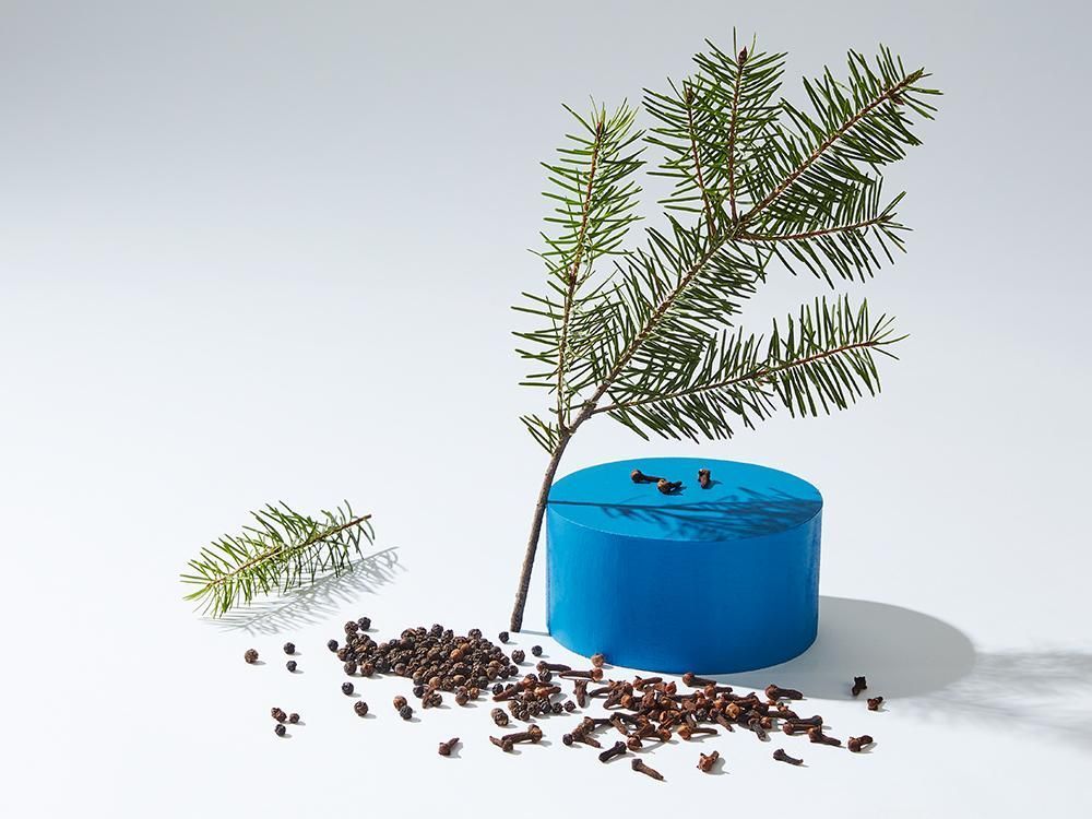 Beta - Caryophyllene Terpenes