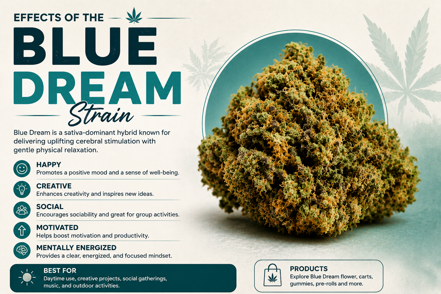 Effects of the Blue Dream Cannabis Strain